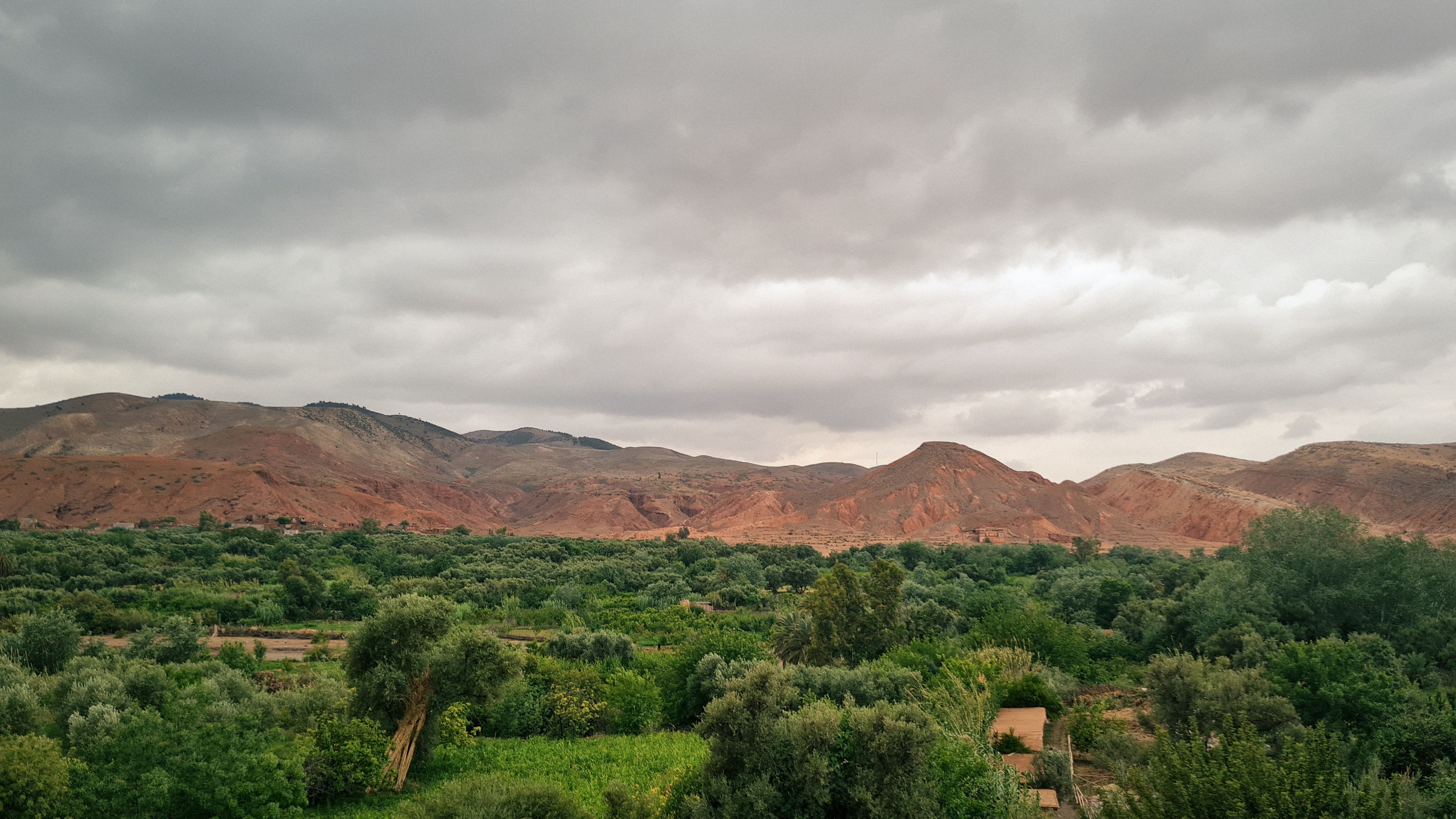 Red-brown Atlas Mountain ridges above a green valley of trees under grey clouds, Imlil