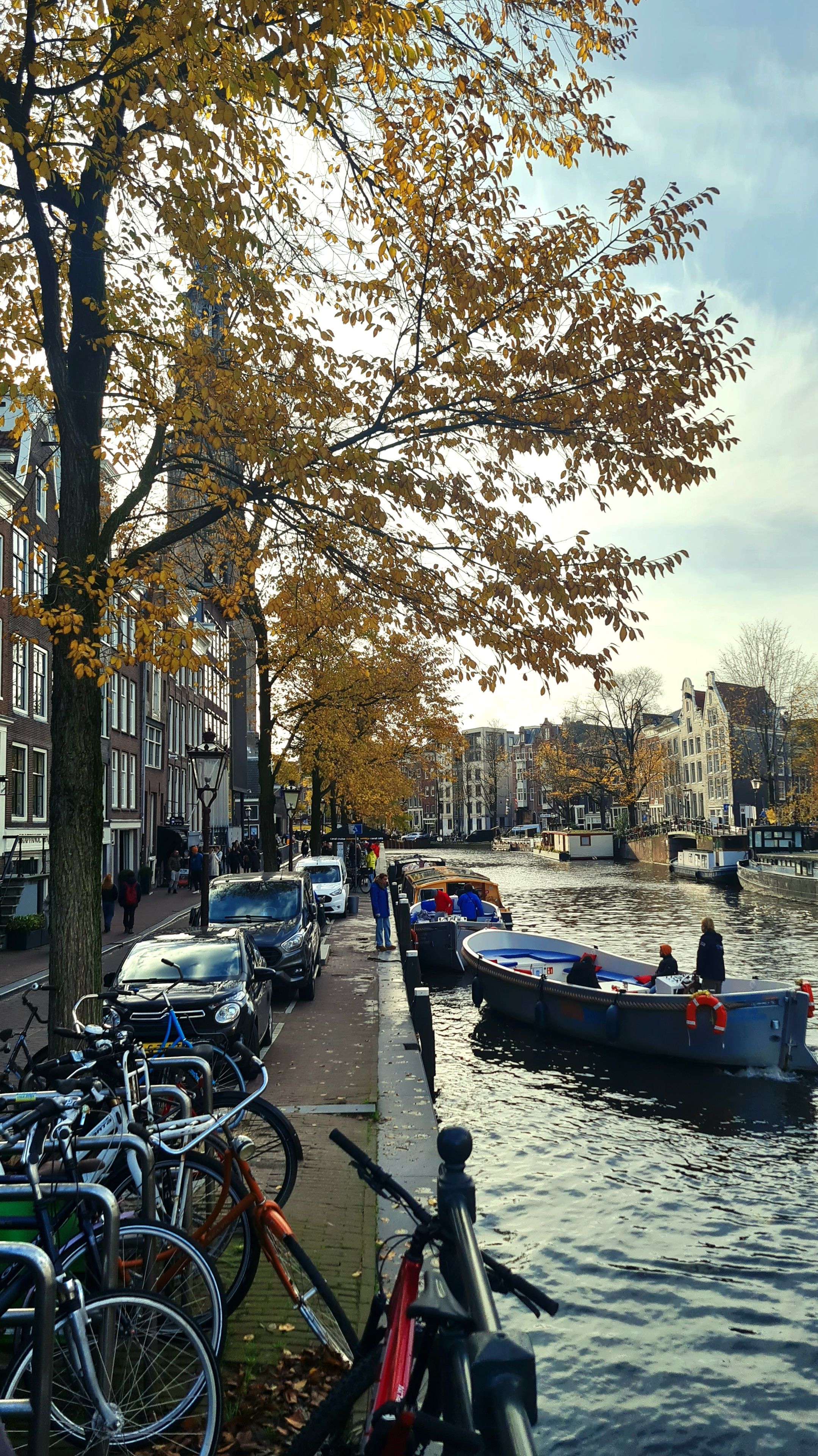 Open boats cruising a canal beneath golden autumn trees, with parked bicycles in the foreground, Amsterdam