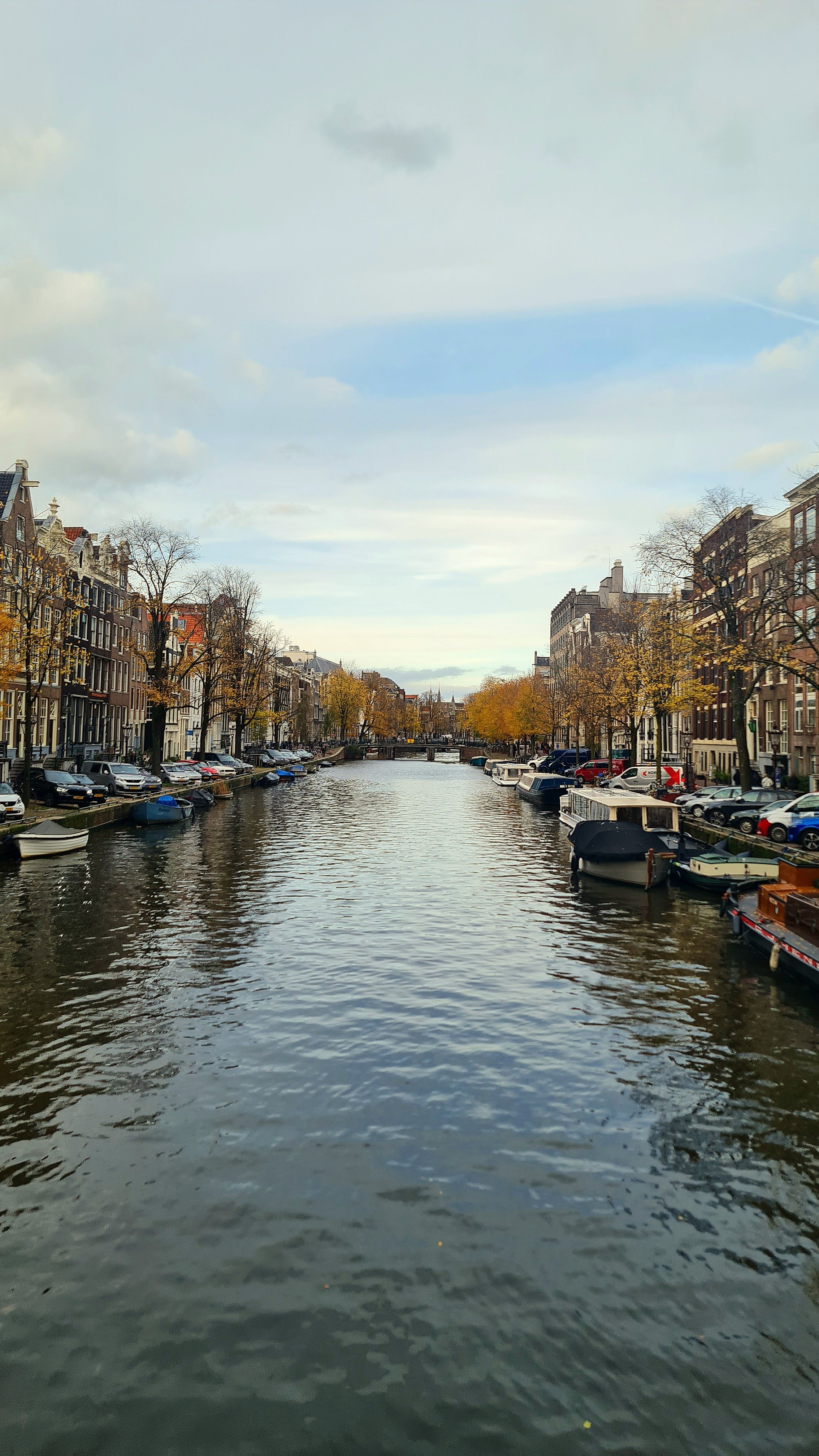 A wide canal lined with autumn trees, tall brick houses and moored houseboats, with a bridge in the distance, Amsterdam