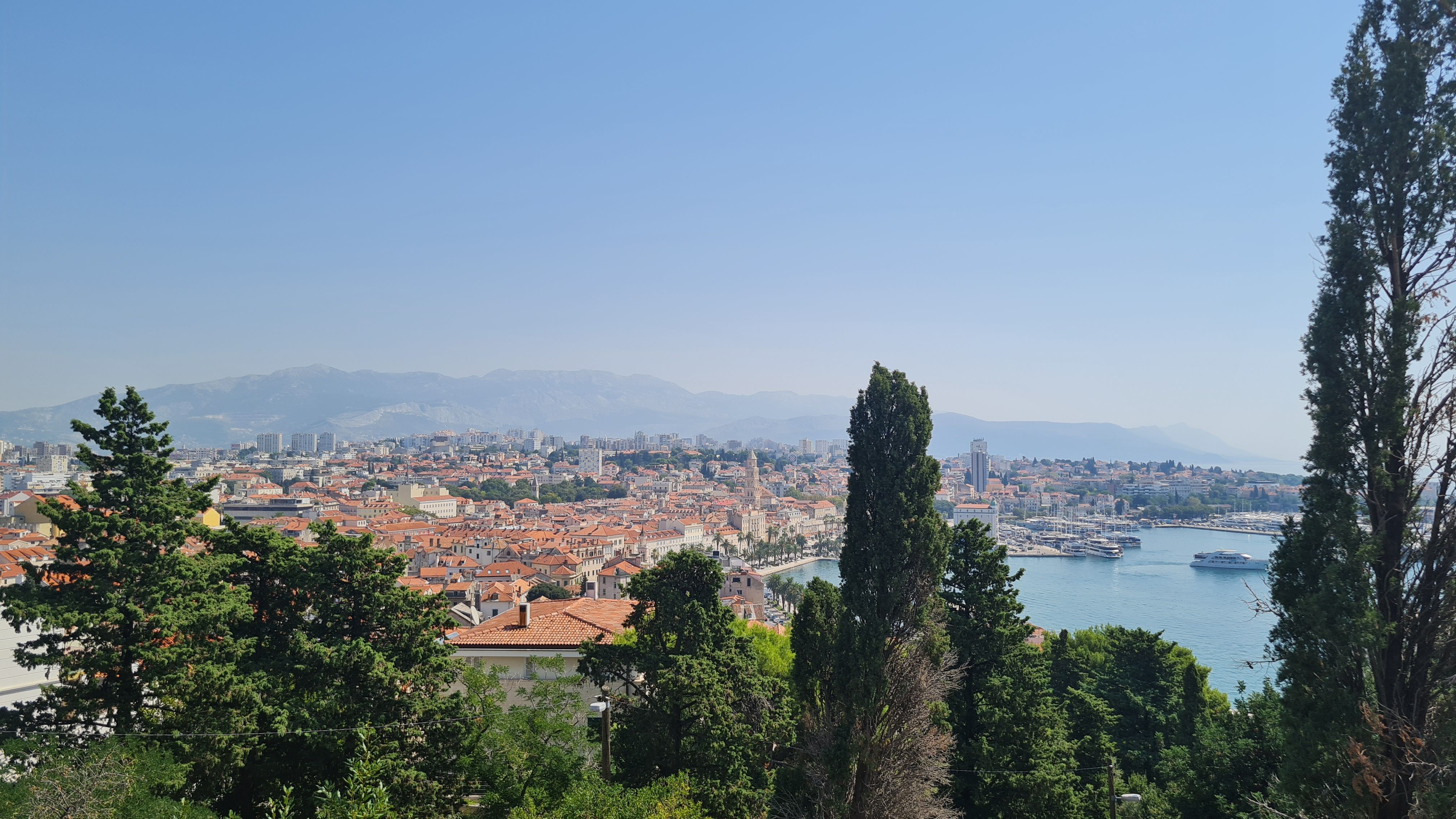 Terracotta rooftops of Split and its harbour seen through pine and cypress trees, with mountains behind, Croatia