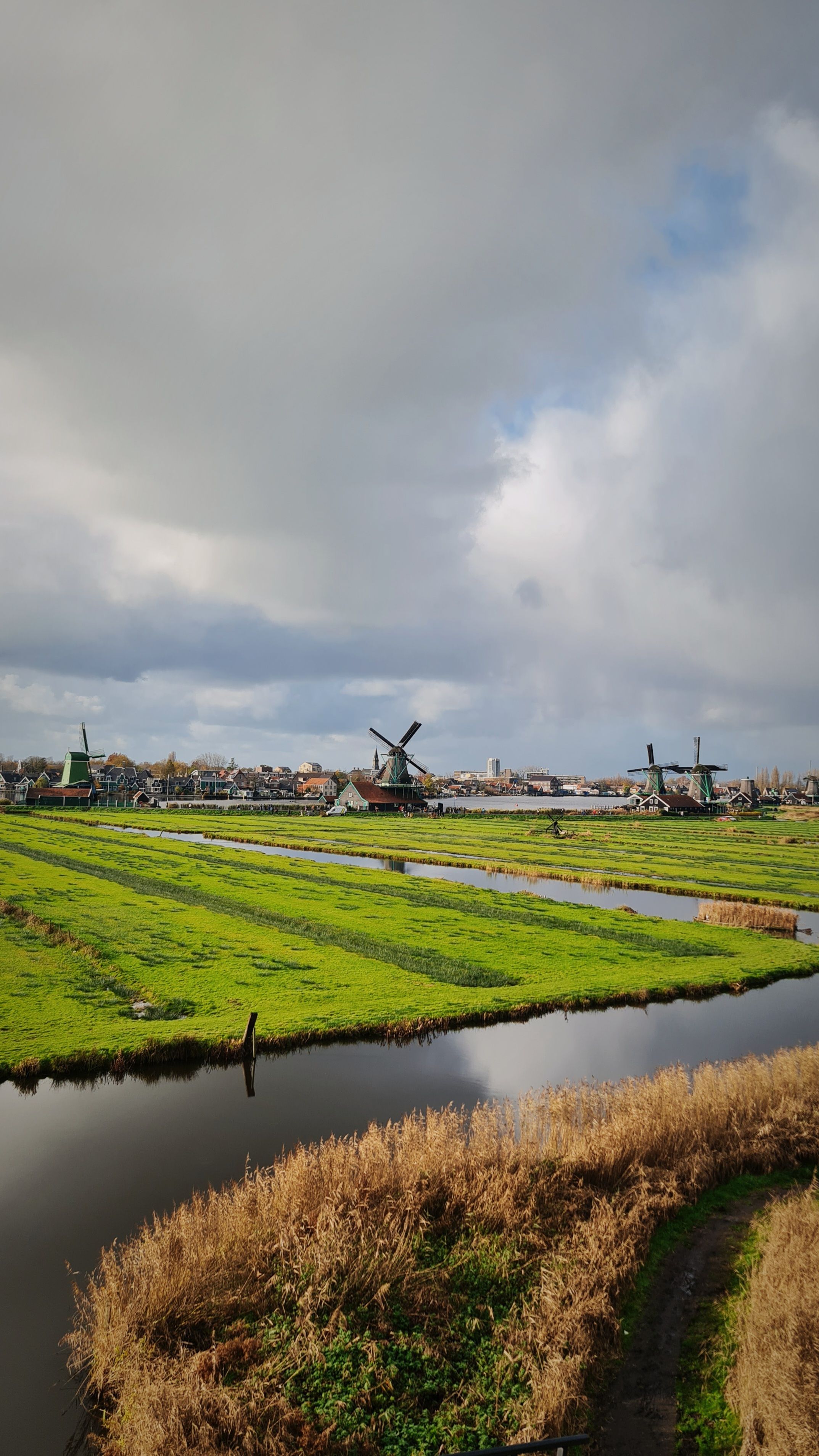 Bright green polder fields cut by canals with windmills in the distance under heavy grey clouds, Zaanse Schans