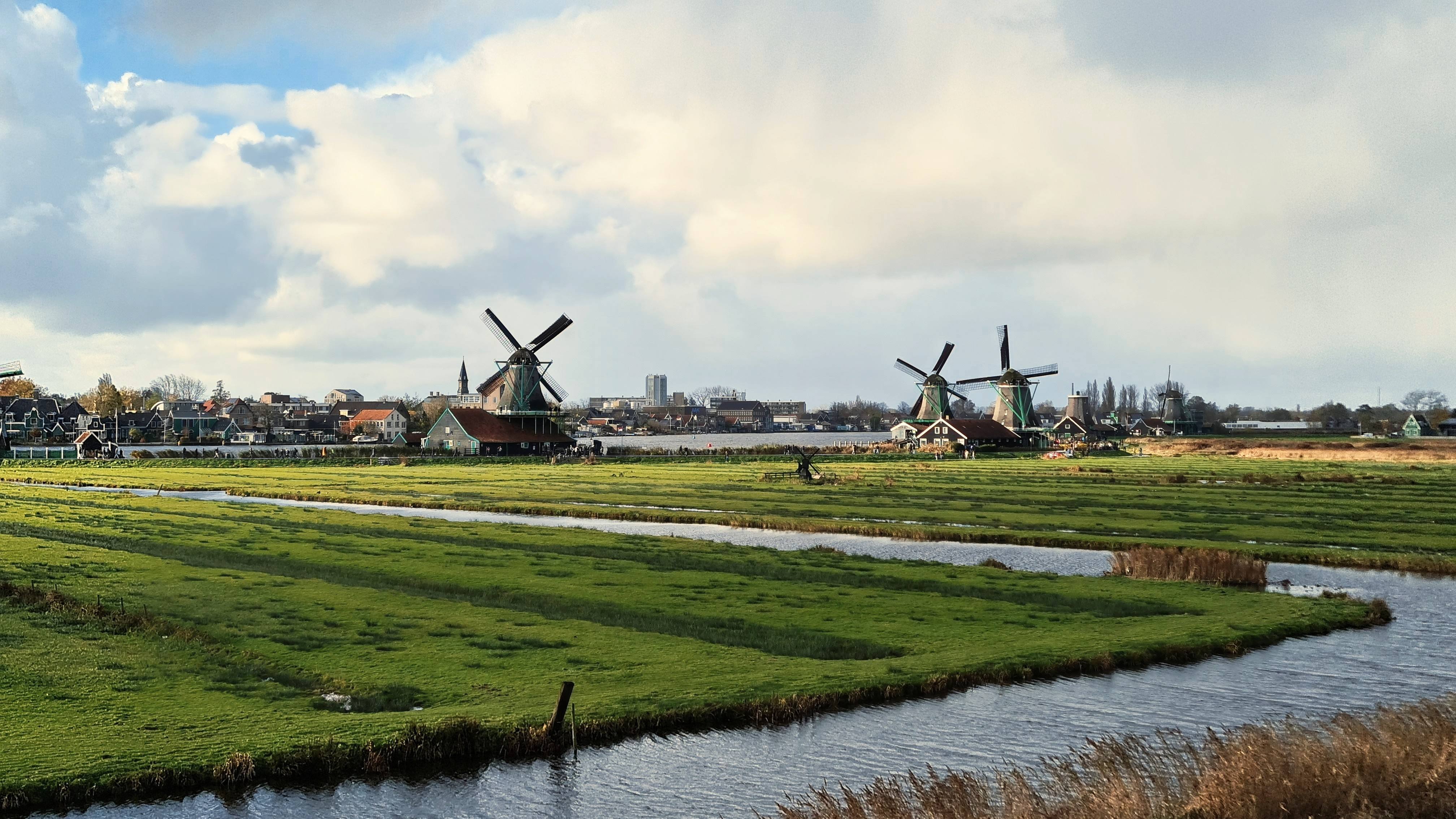 Several windmills standing along a river beyond green polder fields and winding canals, Zaanse Schans